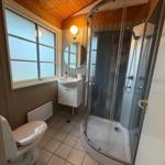 Badezimmer mit Dusche, Waschbecken und Toilette. Holzdecke und Fenster.