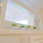 Badezimmer mit Fenster und vier kleinen Pflanzen in weißen Töpfen.