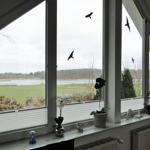 Blick auf die Schlei