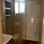 Dusche mit Duschbrause, Toilette und Waschbecken in moderner Badezimmerausstattung.