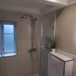 Dusche mit Duschbrause, Fenster und Pflanze auf Waschbecken.