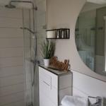 Badezimmer mit Dusche, Waschbecken und Spiegel. Dekorationsgegenstände und Pflanze sichtbar.