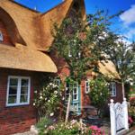 Rotes Backsteinhaus mit Strohdach, Garten mit Blumen und Terrasse.
