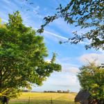 Weitläufiges Feld unter blauem Himmel mit fliegenden Vögeln und grünen Bäumen im Vordergrund.