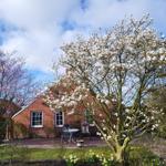 Rotes Backsteinhaus mit Blumengarten und blühenden Bäumen im Vordergrund.