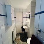 Badezimmer mit Toilette, Waschbecken und Heizung.