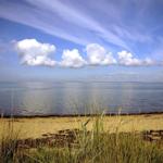 Strandufer mit Gräsern, ruhigem Wasser und blauem Himmel mit weißen Wolken.