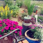 Garten mit Blumen, Pflanzkübeln und altem Milchkanister.