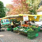 Donnerstags ist Wochenmarkt im Badepark
Gemüse,Obst,Fisch,Blumen Honig,Käse Wurst/Fleisch,Eier,Brot etc.
Parkplätze sind vorhanden