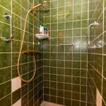 Dusche mit grünen Fliesen und goldenem Duschsystem