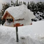 Schneebedeckter Vogelhäuschen im Wintergarten