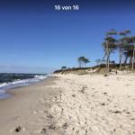 Bild-Beschreibung folgt.