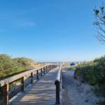 Wooden path leads through dunes to the beach with a view of the sea.