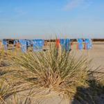 Beach with beach chairs and dune vegetation under blue sky.