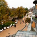 Panorama aus der Ferne: gepflasterter Weg, Bäume mit Herbstlaub und moderne Gebäude mit Balkonen.
