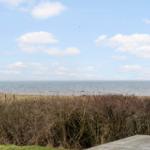 Blick auf das Meer mit Strand und Sträuchern im Vordergrund.