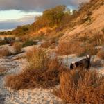 Herbstspaziergang mit Hund Rudi am Südstrand