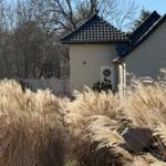 Haus mit schwarzem Dach und weißer Tür, umgeben von hohem Gras und Bäumen.