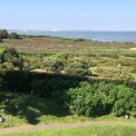 Grüner Garten mit gestutzten Hecken und Blick auf die Nordsee.