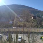 Blick auf Wald und Häuser mit Parkplatz und Bäumen