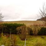 direkt am kleinsten Nationalpark Deutschlands