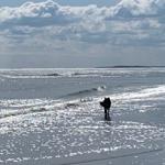 Rudi am Strand