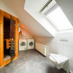 Dachbodenbereich mit Sauna, Waschmaschine und Toilette unter Dachschräge mit Dachfenster.