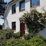 Weiße Hauswand mit roter Tür und blühenden Rosenhecken.