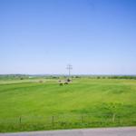 Weitläufiges Grünfeld mit zwei Pferden und Strommasten unter blauem Himmel.