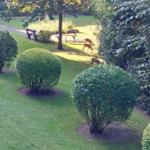 Garten mit Rasen, Bäumen und drei Hirschen, die grasen.