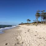 Bild-Beschreibung folgt.