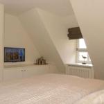 Schlafzimmer mit Dachschrägen, Bett, Fernseher und Fenster mit Vogeldekor.