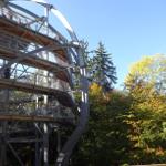 in 7 Minuten erreichen Sie den Baumwipfelpfad in Bad Harzburg