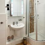 Badezimmer mit Dusche, Waschbecken und Spiegelschrank.