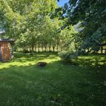 Grüner Garten mit Feuerkorb und Bäumen. Links steht ein kleines Gebäude.