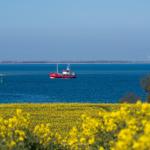 Rotes Schiff auf blauem Wasser vor gelbem Rapsfeld. Windräder im Hintergrund.