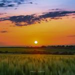 Sonnenuntergang über Feldern mit See im Hintergrund
