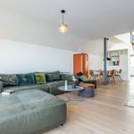 Wohnbereich mit grünem Sofa, Holzboden und moderner Einrichtung.