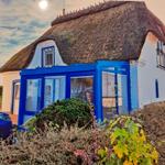 House with thatched roof and blue extension. Garden with shrubs and plants.