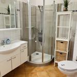 Bathroom with shower, sink, and toilet.