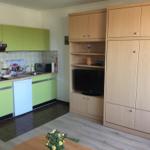 Küche mit grünen Schränken und integriertem Geschirrspüler. Wohnbereich mit Holzmöbeln und Fernseher.