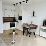 Wohnküche mit Esstisch, TV und Küchenschränken. Holzboden und Spiegel sichtbar.