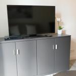 TV auf grauem Schrank mit Pflanze und Fernbedienung