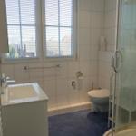 Badezimmer mit Dusche, Toilette und Waschbecken. Blaue Fliesen und Fenster mit Jalousien.