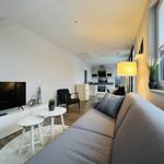 Wohnzimmer mit Sofa, Fernseher und Küchenbereich im Hintergrund.