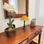 Holzkonsole mit Pflanze, Lampe und Broschüren