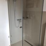 Shower with glass enclosure and handheld shower