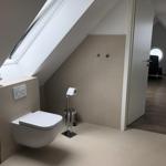 Shower and toilet under sloped ceiling with skylight