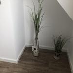 Two plants in glass containers stand in a corner with wooden floor and white walls.