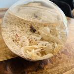 Glasballon mit Sand und Muscheln auf Holztisch